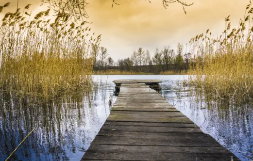 stille Entzündungen und Kinderwunsch